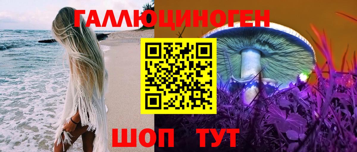 Каспийск  Псилоцибиновые грибы прущие грибы  Вход с VPN 