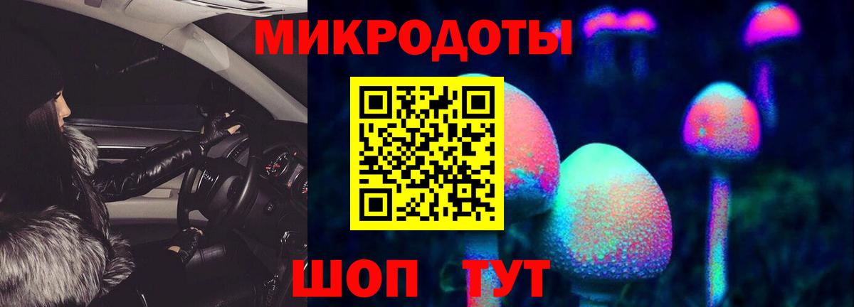 Псилоцибиновые грибы Psilocybine cubensis Каспийск